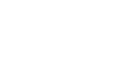 silver branch nominee IFTA Film and Drama Awards