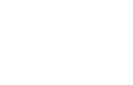 silver branch selection Princeton Film Festival 2018