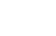 silver branch Best Film BANFFI Film Festival 2018