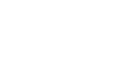 silver branch award winner wellington Film Festival 2019