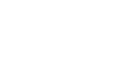 silver branch selection Richmond Film Festival 2019