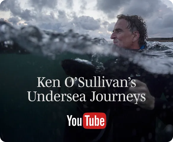 Ken O'Sullivan youtube channel Ken O'Sullivan youtube channel