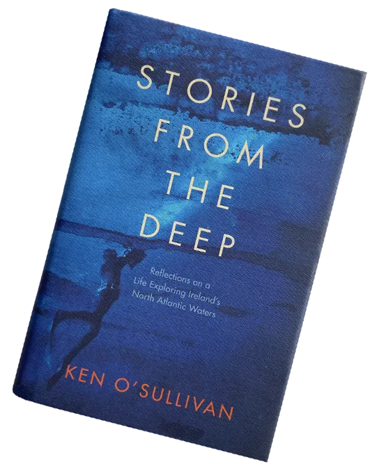 stories from the deep book cover
